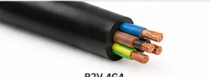 R2V 4G4