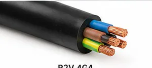 R2V 4G4